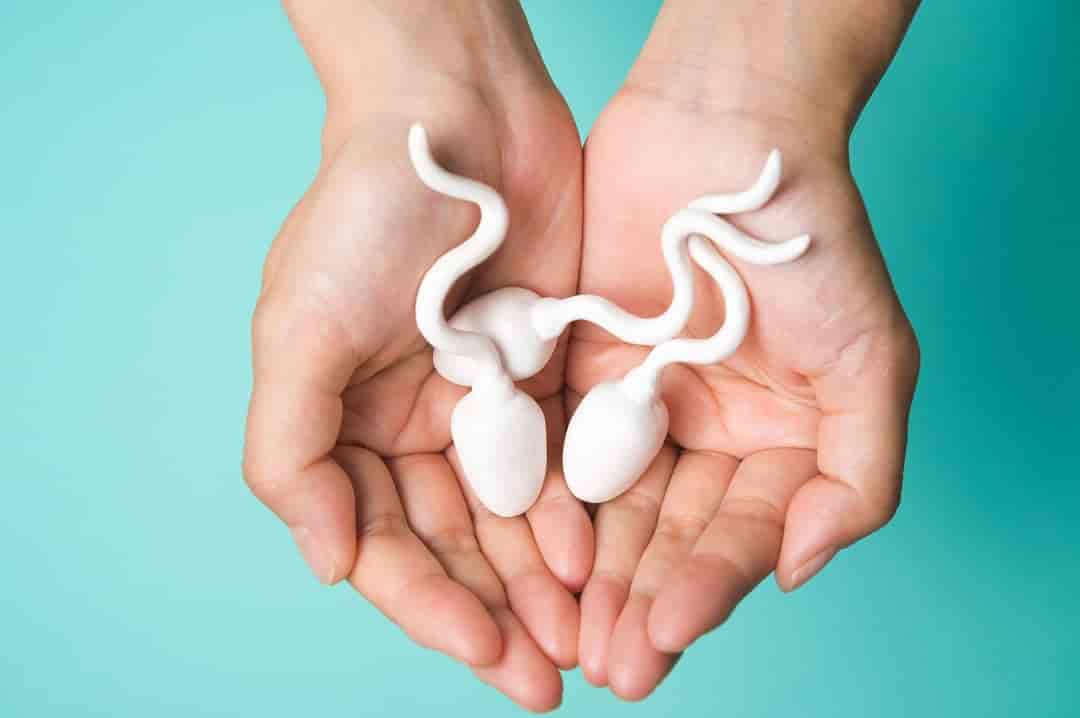 Oligospermia Low Sperm